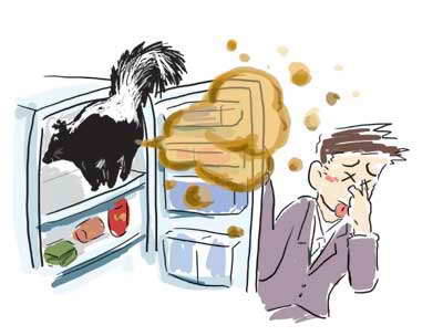 普能达科普:天然冰箱除臭剂